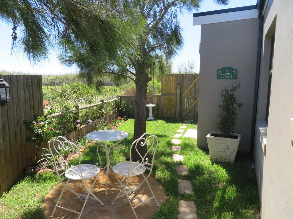 Sunbird Cottage Noordhoek Ngoại thất bức ảnh